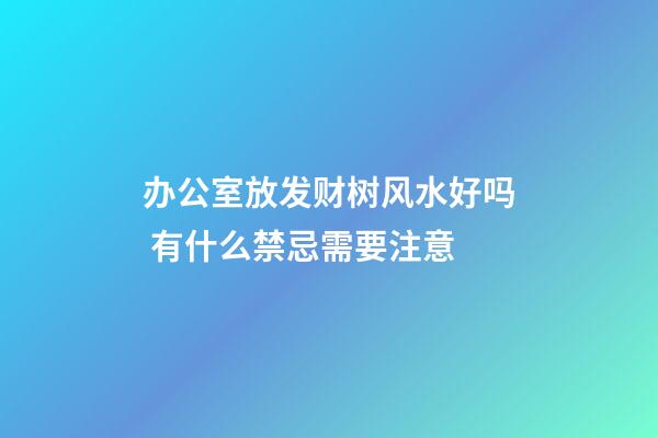 办公室放发财树风水好吗 有什么禁忌需要注意